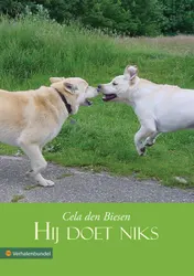 Omslag van Hij doet niks