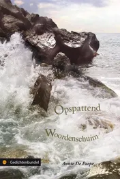 Omslag van Opspattend woordenschuim