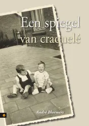 Omslag van Een spiegel van craquelé