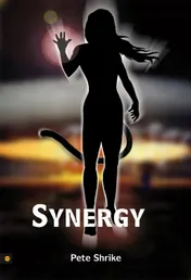 Omslag van Synergy