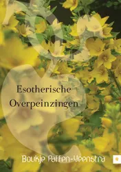 Omslag van Esotherische overpeinzingen