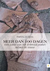 Omslag van Meer dan 100 dagen