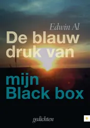 Omslag van De blauwdruk van mijn black box