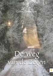 Omslag van De weg van de zegen