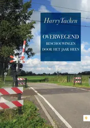 Omslag van Overwegend