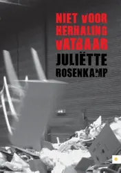 Omslag van Niet voor herhaling vatbaar