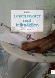 Omslag van Levenswater met frikadellen