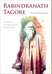 Omslag van Rabindranath tagore - een drieluik
