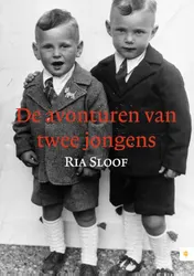 Omslag van De avonturen van twee jongens