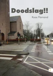 Omslag van Doodslag!