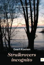 Omslag van Struikrovers incognito