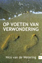 Omslag van Op voeten van verwondering