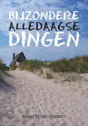 Omslag van Bijzondere alledaagse dingen