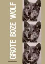 Omslag van Grote boze wolf