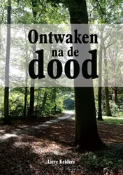 Omslag van Ontwaken na de dood