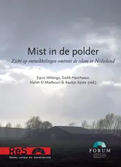 Omslag van Mist in de polder