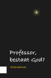 Omslag van Professor, bestaat God?