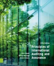 Omslag van Principles of International Auditing and Assurance