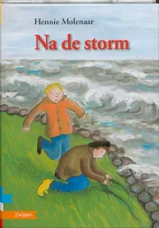 Omslag van Na de storm