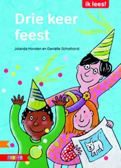 Omslag van Drie keer feest