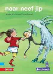 Omslag van Naar neef Jip
