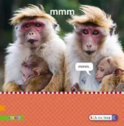 Omslag van AVI S
