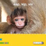 Omslag van AVI S