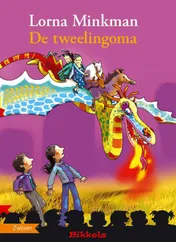 Omslag van De tweelingoma