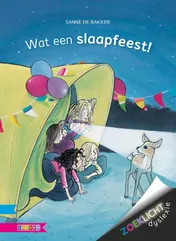 Omslag van Wat een slaapfeest!