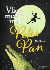 Omslag van Vlieg mee met Peter Pan