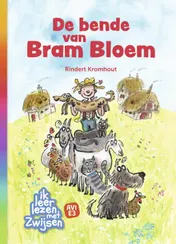 Omslag van De bende van Bram Bloem