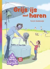 Omslag van Grijs ijs met haren