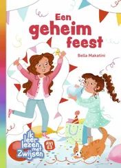 Omslag van Een geheim feest