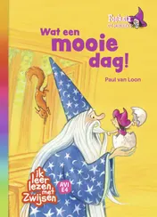 Omslag van Foeksia de miniheks - Wat een mooie dag!