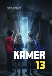 Omslag van Kamer 13