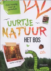 Omslag van Het Bos