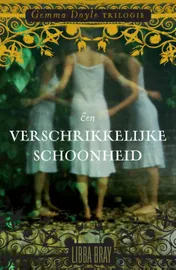 Omslag van Een verschrikkelijke schoonheid