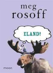 Omslag van Vamoose
