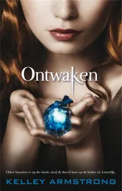 Omslag van Ontwaken