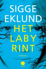 Omslag van Het labyrint