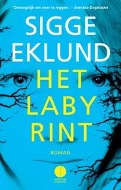 Omslag van Het labyrint