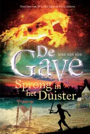 Omslag van Sprong in het duister