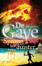 Omslag van Sprong in het duister