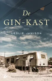 Omslag van De gin-kast