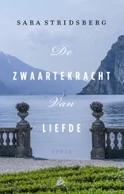 Omslag van De zwaartekracht van liefde