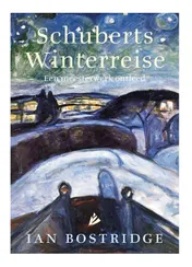 Omslag van Schuberts Winterreise