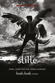 Omslag van Stilte