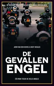 Omslag van De gevallen engel