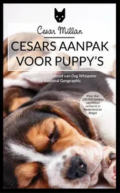 Omslag van Cesar's aanpak voor puppy's