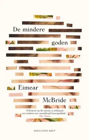 Omslag van De mindere goden